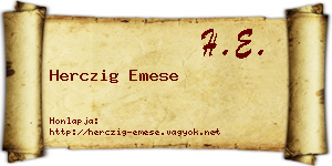 Herczig Emese névjegykártya